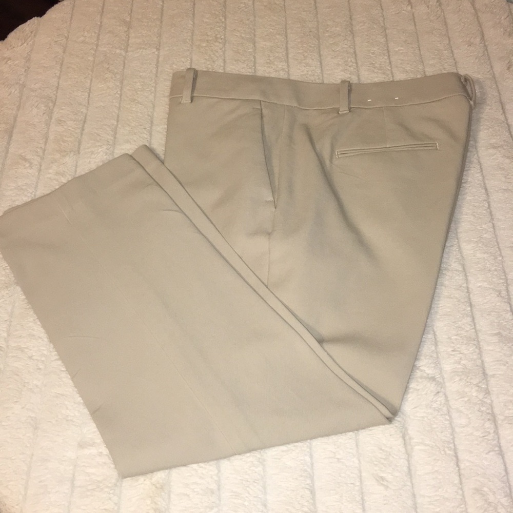 Ann Taylor size 10p pants tan ECU